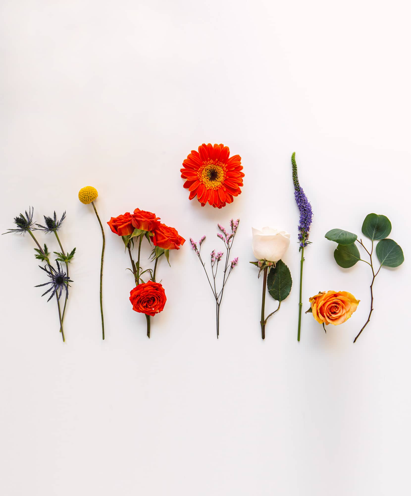 Bright and vibrant floral arrangement featuring colorful roses, gerbera daisies, and foliage.