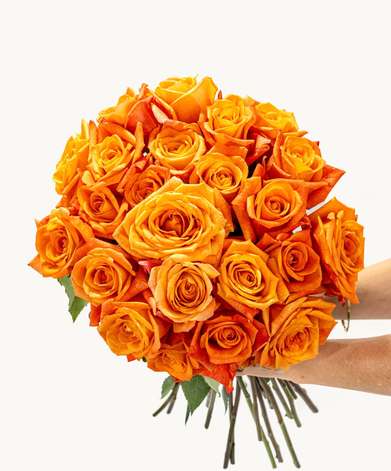 Vibrant bouquet of orange roses, perfectly arranged for a cheerful gift or celebration.