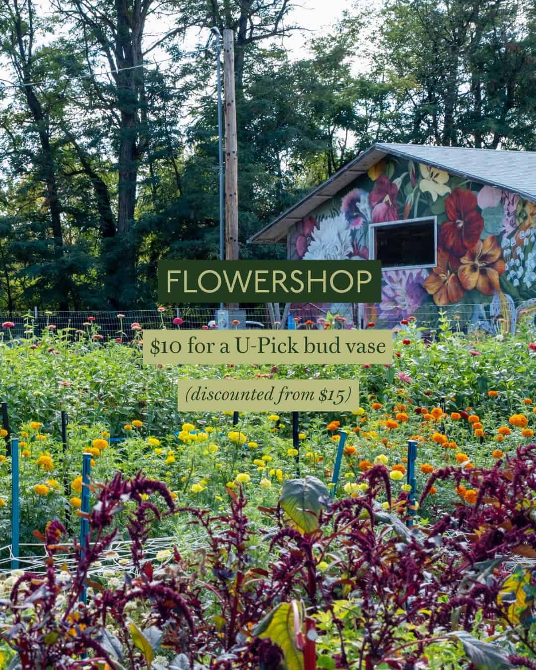 Edwards Greenhouse & Flowershop, a florist located in Boise